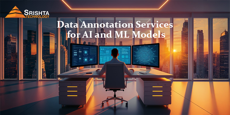 Data Annotation Services for AI and ML Models
