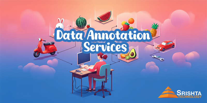 Top data annotation services