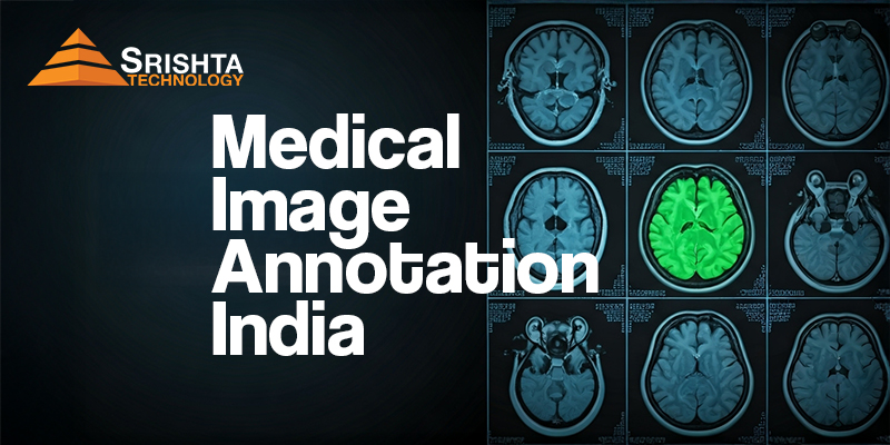 Medical image annotation India