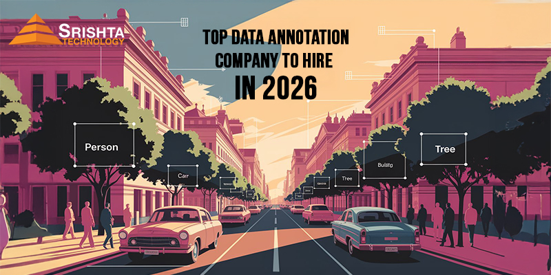 Top Data Annotation company to hire in 2026