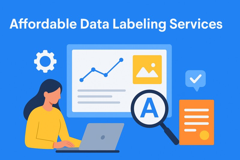 Affordable Data Labeling Services