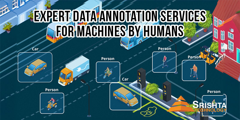 Expert Data Annotation Services for Machines By Humans