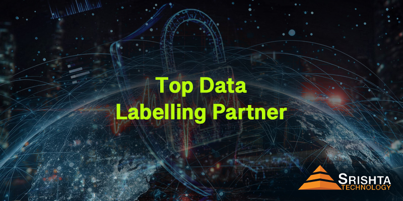 Top Data Labelling Company In India
