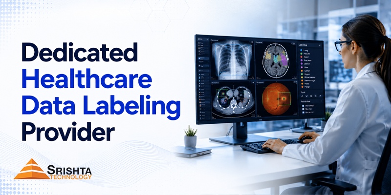 Dedicated Healthcare Data Labeling Provider