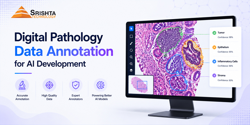 Digital Pathology Data Annotation for AI Development)