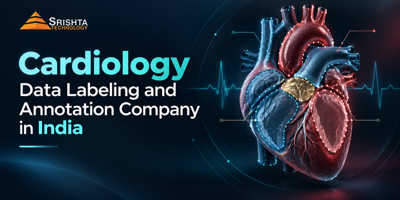 Cardiology Data Labeling and Annotation company in india