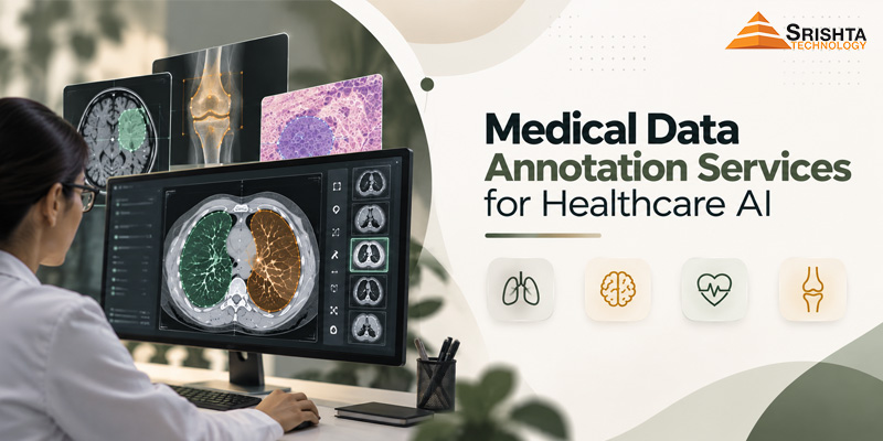 Medical Data Annotation Services for Healthcare AI