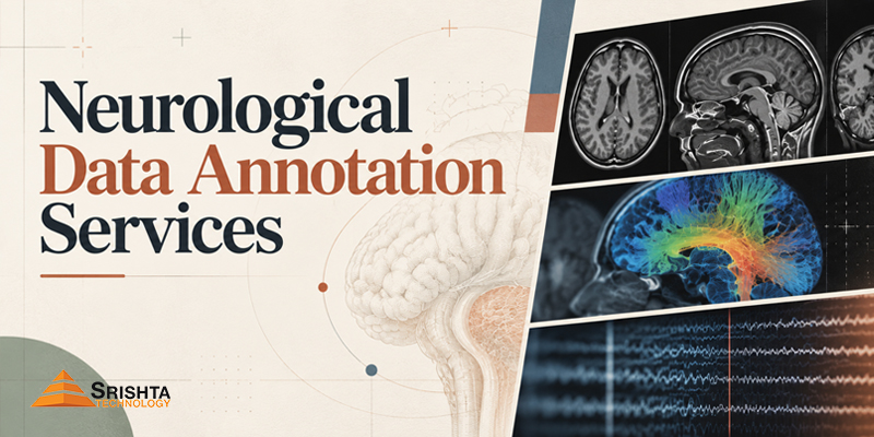 Neurological Data Annotation Services | Srishta Technology
