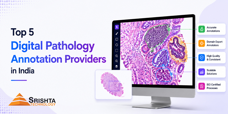 Top 5 Digital Pathology Annotation Providers in India 2026